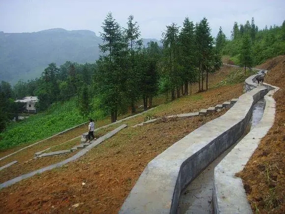 酉陽縣偏柏鄉苗壩等（3）個村土地整理項目